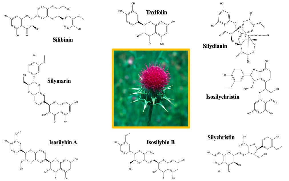Силимарин